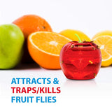 Raid Fruit Fly Traps - 2 Lures + 2 Refills - Effective Indoor Killer & Gnat Traps - Easy to Use, Safe Food-Based Catcher