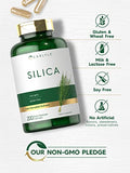 Silica Supplement Capsules | 200 Count | from Horsetail Extract | Non-GMO & Gluten Free | by Carlyle