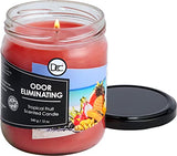 Tropical Fruit Odor Eliminating Highly Fragranced Candle - Eliminates 95% of Pet, Smoke, Food, and Other Smells Quickly - Up to 80 Hour Burn time - 12 Ounce Premium Soy Blend