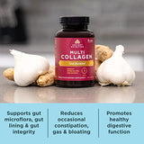 Ancient Nutrition Collagen Pills with Probiotics for Gut Health, Multi Collagen Capsules Gut Restore 90 Ct, Supports Gut, Joints, Hair & Nails, Gluten Free, Paleo and Keto Friendly