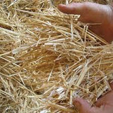 Double F Farms Premium Organic 100 Natural Straw for Animal Bedding, Garden Mulch, Compost & Fertilizer, and Grass Cover (8 lbs), 8 Pound (Pack of 1)