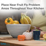 Safer Brand Home SH500SR Indoor Fruit Fly Trap – Ready-to-Use, Non-Staining, No synthetic Insecticides – 2 Traps, Blue