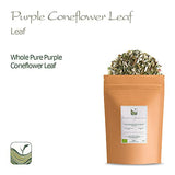 Purple Coneflower Herb Echenecia Tea - Immunity Support Tea - Echinacea Tea Coneflower Tea Echinacea Herb Purple Tea Echinacea Herb Dry Echinacea Dried Herb Echinacea Leaves Purple Echinacea Tea