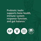 Standard Process Prebiotic Inulin - Whole Food Immune Health and Immune Support, Digestion and Digestive Health, Gut Health and Bone Health with Magnesium Lactate, Calcium Lactate, and More - 9 Ounce