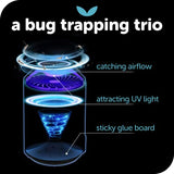 Katchy Automatic Indoor Insect Trap - Self-Activating Killer for Mosquitos, Gnats, Moths, Fruit Flies - Non-Zapper Traps for Inside Your Home - Catch Insects with Suction, Bug Light & Sticky Glue