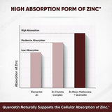 Zinc Quercetin Vegetarian Capsules 120 Ct- (2 Pack)