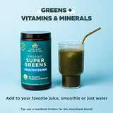 Ancient Nutrition Organic SuperGreens and Multivitamin Powder with Probiotics, Made from Real Fruits, Vegetables and Herbs, for Digestive, Detoxification and Energy Support, 25 Servings