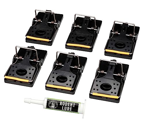 Grandpa Gus's Pest Control Large Snap Traps for Mice/Rats (6 Pack) Bundle with 1 Pack Rodent Lure, Food-Grade Bait, 0.5 oz