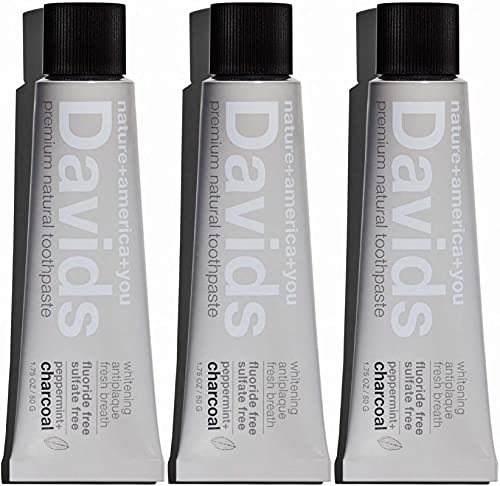 Davids Natural Whitening Charcoal Travel Toothpaste, Antiplaque, Fluoride Free, Peppermint, 1.75 OZ, TSA Approved Travel Size (3 Pack)