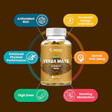 Nutriissa Yerba Mate Gummies - 2000mg - Boost Energy, Focus, and Health - Fruity Taste - Organic, Vegan, Kosher, Gluten-Free - 60 Gummies