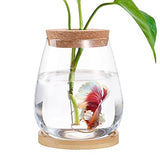 Betta Fish Tank - Mini Bowls for Beta Fish, Aquaponic Fish Tank Clear Hydroponic Plant Terrarium for Promoted Ecosphere Aquatic Ecosystem - 6" H * 3.3" D Drop-Shaped