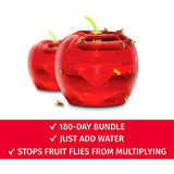 Raid Fruit Fly Traps - 2 Lures + 2 Refills - Effective Indoor Killer & Gnat Traps - Easy to Use, Safe Food-Based Catcher