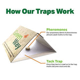 GreenWay Clothing Moth Traps (2 Traps) - Moth Traps for Clothes Closets - Alternative to Cedar Balls and Moth Balls for Closet - Pheromone Attractant & Eco