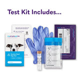 MySimplePetLab Routine Dog Stool Test Kit | Fast and Accurate Worms and Giardia Test for Dogs | Mail-in Stool Sample Kit Dog Test for Early Detection of Worms and Giardia