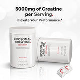 Codeage Liposomal Creatine Monohydrate Powder Supplement, Pure Creatine 5000mg 3-Month Supply, Unflavored, Micronized, Creatinine Sports Muscles, Keto-Friendly - 90 Servings