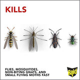 Raid Flying Insect Killer, 15 OZ, 2-Pack