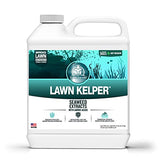 Turf Titan Lawn Kelper - Seaweed Fertilizer for Plants and Lawns - Liquid Lawn Fertilizer Feeds and Protects - Liquid Seaweed Fertilizer for Nutrient Absorption - 32 oz - No Hose Sprayer