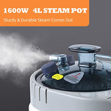 Smartmak Sauna Steamer, Portable 4L Upgraded Steam Pot Generator with Remote Control, Spa Machine with Timer Display Herbal Box for Body Detox, 110V US Plug- Grey