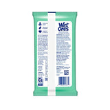 Wet Ones Hand Wipes for Sensitive Skin | Wipes Case for Hand and Face | 20 ct. Travel Size (10 pack)