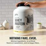 Levels Grass Fed 100% Whey Protein, No Hormones, Vanilla Bean, 5LB