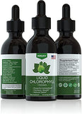 Horjoy Chlorophyll Liquid Drops - 100% Natural Energy Booster and Immune Support Internal Deodorant Detox Altitude Sickness Relief Fast Absorption Vegan & Non-GMO 120 Servings-2 Pack(100mg), (yls001)