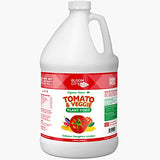 Tomato & Veggie Plant Food for Delicious Homegrown Produce by Bloom City, Gallon (128 oz)