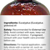 MAJESTIC PURE Eucalyptus Essential Oil, Premium Grade, Pure and Natural, for Aromatherapy, Massage, Topical & Household Uses, 4 fl oz (Pack of 2)