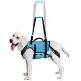 Dog Lift Harness - Petnanny Dog Sling Carrier for Large Elderly Dogs Support Harness for Rear Back Legs Helps, Dog Lift Sling Carrier for Medium Dog Hind Leg Recovery, Old, Disabled, Joint Injuries(L)