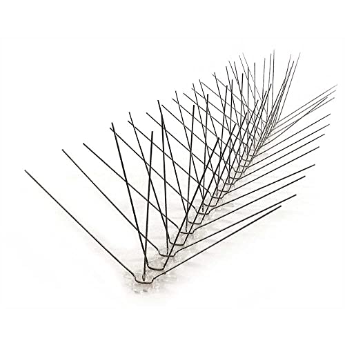 Bird-X Original Stainless Steel Bird Spikes, 6-inch Regular Wide Spikes Since 1964, Bird Spikes for Pigeons and Other Small Birds, Easy to Install, Contains 2 ft. Strips, Cover 24 Linear Feet Area