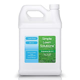 Maximum Green & Growth Fertilizer High Nitrogen 28-0-0 Lawn Food Liquid Fertilizer- Spring & Summer- Any Grass Type- Simple Lawn Solutions - Concentrated Quick & Slow Release Formula (1 Gallon)