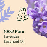 Plant Therapy Lavender Essential Oil 100% Pure, Undiluted, Natural Aromatherapy, Therapeutic Grade 100 mL (3.3 oz)