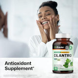 Cilantro Supplement - Organic Cilantro Capsules - Rich Source of Antioxidants - Natural Body Cleansing & Detox - Cilantro Powder 100 Vegan Pills