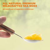 Seamoss Gel, Organic Raw Wildcrafted Irish Seamoss Gel Immune and Digestive Support Vitamin Mineral Antioxidant Supplements, Pineapple Mango 12oz