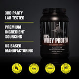 Animal 100% Whey Protein Powder – Whey Blend for Pre- or Post-Workout, Recovery or an Anytime Protein Boost– Low Sugar – Chocolate, 1.8 lb