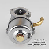 Ferilter Carburetor for Briggs Stratton 798917 695727 790558 791292 791953 794587 Snow-blowers Engines Carb