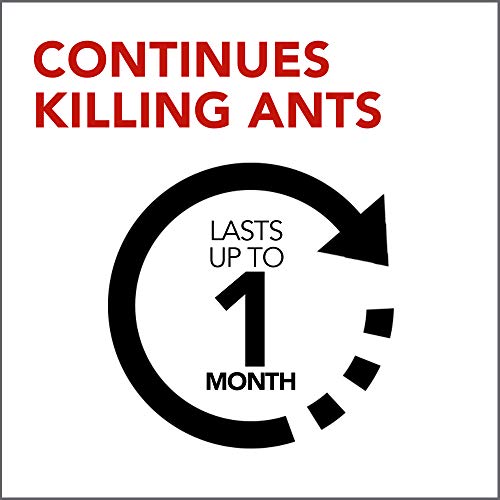 Raid Ant Gel, Kills Ants You Don't See, Continues Killing for up to 1 Month, Odorless Bug Control, 1.06 Ounce (Pack of 3)