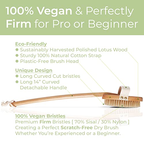 Zen Me Premium Vegan Bristle Brush, Exfoliating Brush with Firm Natural Bristles for Cellulite and Lymphatic, Body Scrub Brush for Experienced Users, with Detox eBook Gift, (Set of 3)