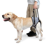 Dotoner Dog Sling for Large Dogs Hind Leg Support to Help Rehabilitate The Hind Limbs of Elderly Dogs with Weak Hind Legs Disabilities and Injuries Dog Harness Helps Arthritis ACL Recovery (L, Grey)