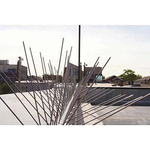 Bird-X Original Stainless Steel Bird Spikes, 6-inch Regular Wide Spikes Since 1964, Bird Spikes for Pigeons and Other Small Birds, Easy to Install, Contains 2 ft. Strips, Cover 24 Linear Feet Area