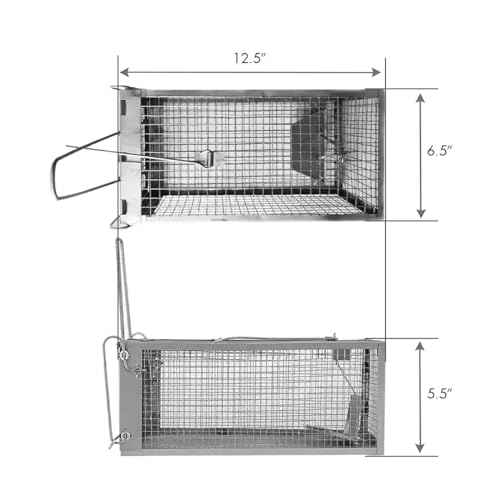 Humane Mouse and Rat Trap That Works 2 Pack 12.5x6.5x5.5, Small Rodent, Chipmunk,Squirrel Trap Cages | Catch and Release | Reusable and Durable | No Kill Animal Trap | for Indoor and Outdoor