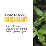 Botanicare Silica Blast, Plant Supplement, 0-0-0.5, 1 qt.