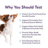 MySimplePetLab Routine Dog Stool Test Kit | Fast and Accurate Worms and Giardia Test for Dogs | Mail-in Stool Sample Kit Dog Test for Early Detection of Worms and Giardia