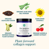 Ora Organic Vegan Collagen-Boosting Powder for Women and Men - Hair, Skin, & Nails Support - Bamboo Silica, Plant-Based Protein, Organic Vitamin C, Aloe Vera - Chocolate Flavor, 20 Servings