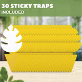 150 Pcs Yellow Sticky Trap for Indoor Gnats Dual Sided by Grow Margo - Fruit Fly Traps for Indoors - Plant Sticky Traps for Gnats - Plant Gnat Stix - Plant Fly Sticky Trap Sticks (5 Packs (150 pcs))