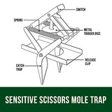 Garsum Mole Trap,EasySet Eliminator Black Scissor Traps, Mole Traps That Kill Instantly for Lawns,Reusable Quick and Clean Kill Vole Trap,1 Set