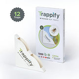 Trappify Window Fly Traps: House Window Fruit Fly Traps for Indoors, Gnat, & Other Flying Insect, Disposable Indoor Fly Trap with Extra Sticky Adhesive Strips - Inside Home Housefly Bug Catchers (12)