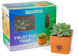 ZendoZones® Fruit Fly Trap Tranquil Tabitha, Terra Cotta Base