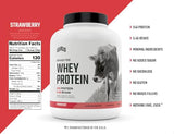 Levels Grass Fed 100% Whey Protein, No Hormones, Strawberry, 5LB