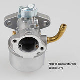 Ferilter Carburetor for Briggs Stratton 798917 695727 790558 791292 791953 794587 Snow-blowers Engines Carb