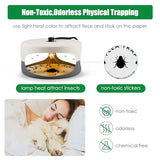 2 Pack Flea Trap Indoor Flea Light for Inside Your Home with 4 Sticky Disc & 6 Bulbs & 2 Electric Wires Pet and Kid Safe,Sticky Bed Bug Trap Non-Poisonous Pest Control